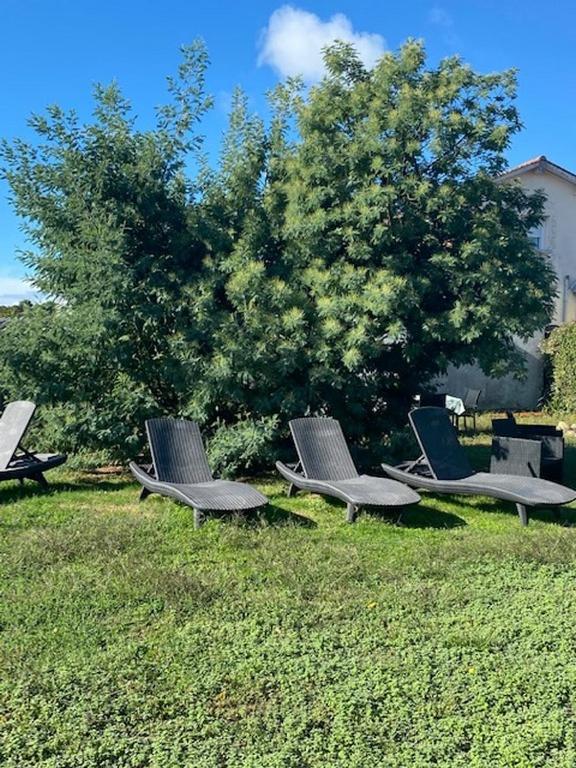 Comme Une Evidence Gite Et Chambres D'Hotes Saint-Vincent-sur-Jard Exteriör bild